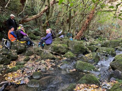 21 May Craiglowen Falls Trampers Morning Tea Beside A Tributary Of Mcquilkans Creek, Just Below Craiglowen Falls. Photo & Caption Pam