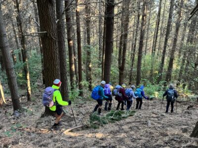 21 May Craiglowen Falls Trampers Starting Off Through The Pine Forest From Sanatorium Rd. Photo & Caption Pam