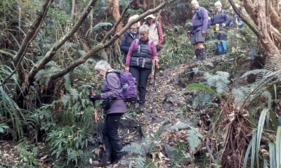 3 Creek Crossings Helen
