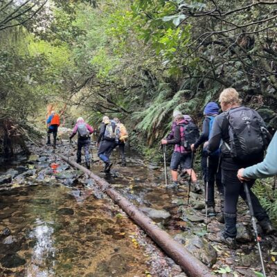 Carey’s Creek Was Crossed 30 Times … Caption And Photo Pam