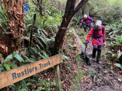 Coming Down Off Rustlers Track. Caption And Photo Pam