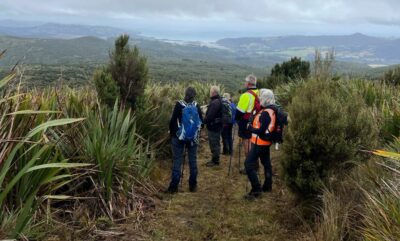 Looking Back Towards Blueskin Bay From Swampy Track. Caption And Photo Pam