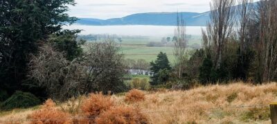 Lovely View From The Cemetery. Caption And Photo Helen