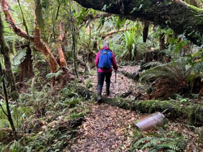 Lush Bush On The Pipeline Track Caption And Photo Pam