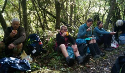 Neville In His Comfortable Lunch Spot, Wedged Between Two Trees! John