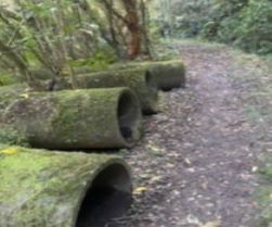 Redundant Pipes Along The Track Eleanore