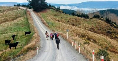 Up The Winding Hill With Views To Enjoy Caption And Photo Helen