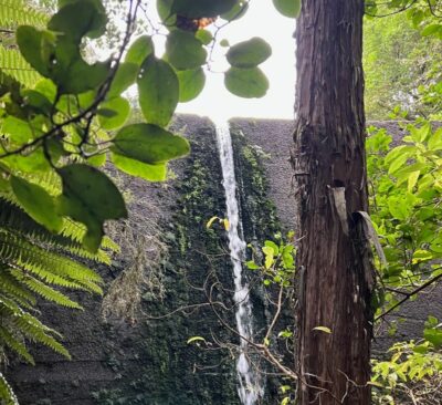 View Of Black Gully Dam Through The Trees. Caption And Photo Pam