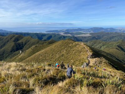 Views Coming Down Pulpit Rock Out To Blueskin Bay Pam