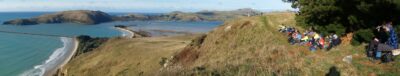 Morning tea panorama