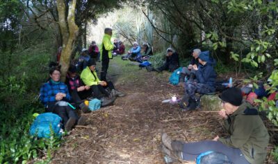 Lunch in the forest