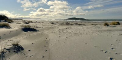 Taieri Mouth Beach and Moturata Island