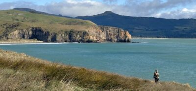 Towards Kaikai Beach and Mopanui
