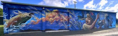 New mural on storage shed Taieri Mouth