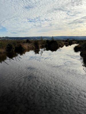 Strange cloud formations reflect in the still water, resulting in a very surreal reflection in the stream below. waihola wetlands. photo & caption marijke