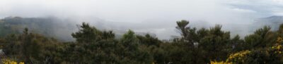 Looking towards purakaunui inlet, the least misty photo of three! caption and photo john