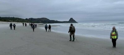 Low tide walk to blackhead caption and photo raewyn