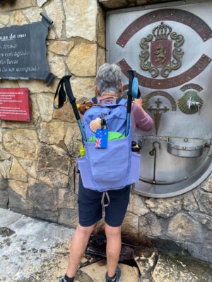 Free wine at the fountain leaving estella early in the morning. a rather dry red.