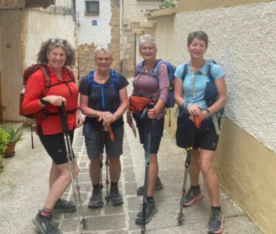 On the way to estella