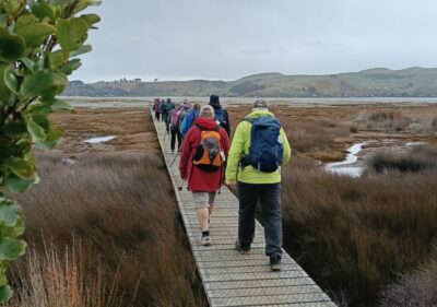 Through the saltmarsh, heads still down phil k