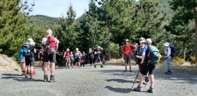 8 oct daphne road trampers regrouping on the forest easement rd. photo & caption jane