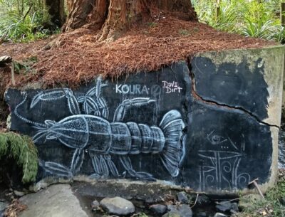 Koura turns trout and trees red caption and photo phil