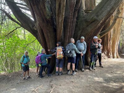 Tree huggers caption and photo bill