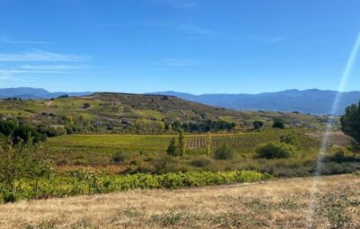 Vineyards