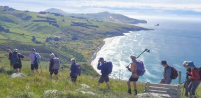 26 nov highcliff trampers amazing views from highcliff track. photo & caption jane