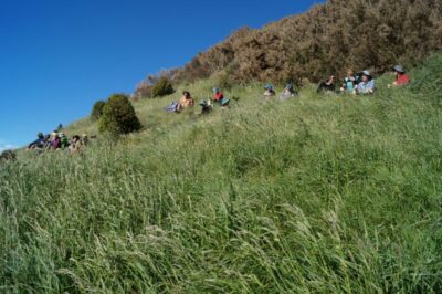 26 nov highcliff trampers morning tea with a view. photo & caption john