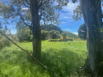 26 nov highcliff trampers ruins of the old “highcliff “ hotel . photo & caption pam