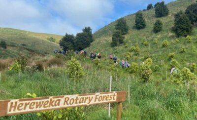 29 keen members heading up the future forest track to weed last years planting pam