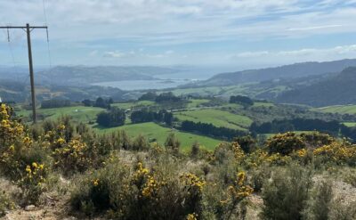Looking across blueskin bay from the pylons caption and photo pam