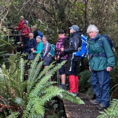 Sheltered in cloud forest caption and photo pam