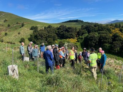 Supervisor, duncan, explaining the best way to release clumps of grass around the plantings pam