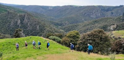 10.00.54 am. traversing the scenic farm road along the bottom of the paddock jane