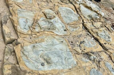 This is sandstone pavement rock at picnic point , papatowai . rick formed from compressed layers of mud , sand and other sediments from time of gondwanan age caption and photo katherine