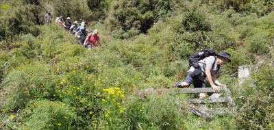 2.12 pm – after lunch. over the gate to exit the silverpeaks scenic reserve jane