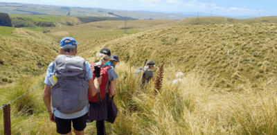 4 feb scorgies farm hikers and trampers . a short steep encounter with tussocks.photo & caption jane.jpg
