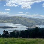 18 mar mopanui trampers blueskin bay square 2