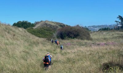 Among the marram grass on the westwood rec track. caption and photo pam