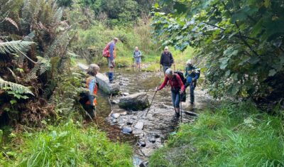 No stepping stones here crossing “silver stream” pam