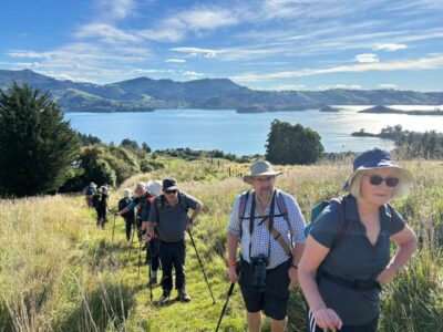 29 apr macandrew bay hikers are we there yet photo & caption jenni