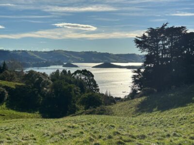 29 apr macandrew bay hikers impressive views of the harbour photo & caption jenni