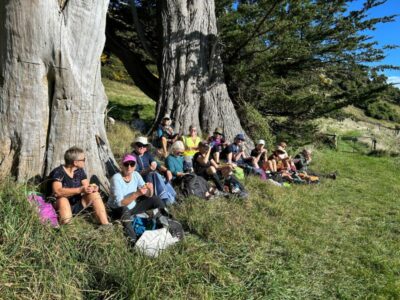 29 apr macandrew bay hikers lunch, whilst some chose shade. photo & caption jenni