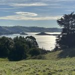29 apr macandrew bay hikers square photo & caption jenni