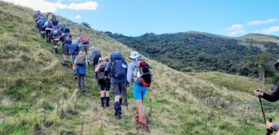 A steepish climb back up the farm track to the taiaroa hill ridgeline caption and photo jane