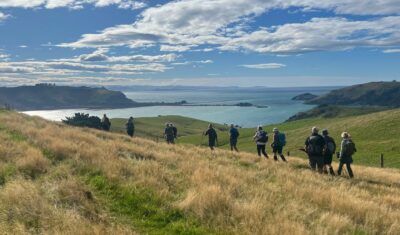 Looking back at otago harbour’s narrow entrance. caption and photo pam
