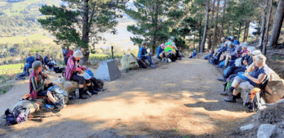 Lunch enjoying the shade of the pines caption and photo jane