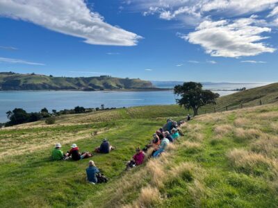 Perfect spot for morning tea overlooking the otago harbour. caption and photo pam